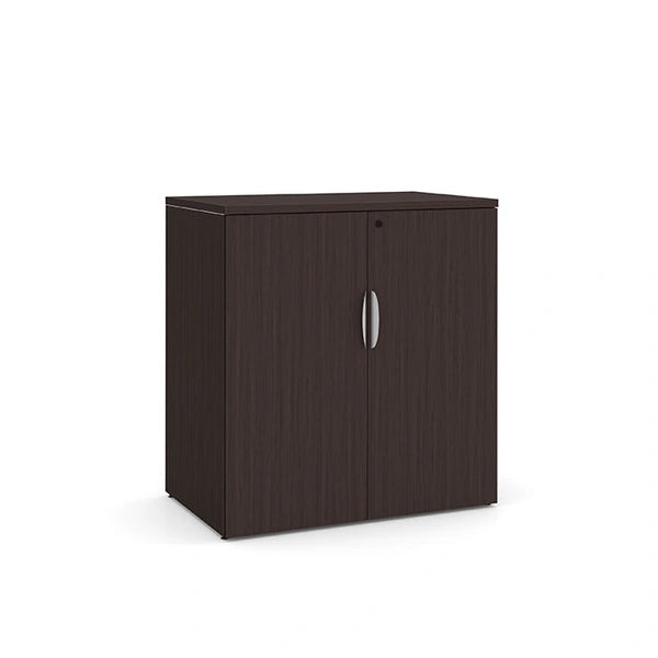 Locking Storage Cabinet