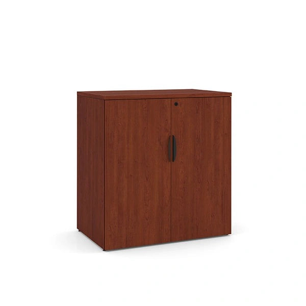 Locking Storage Cabinet
