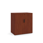 Locking Storage Cabinet