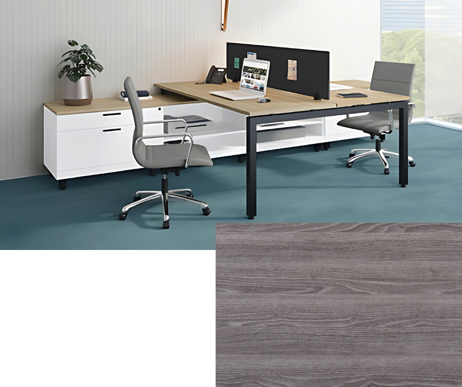 Two-Person Modern Workstation