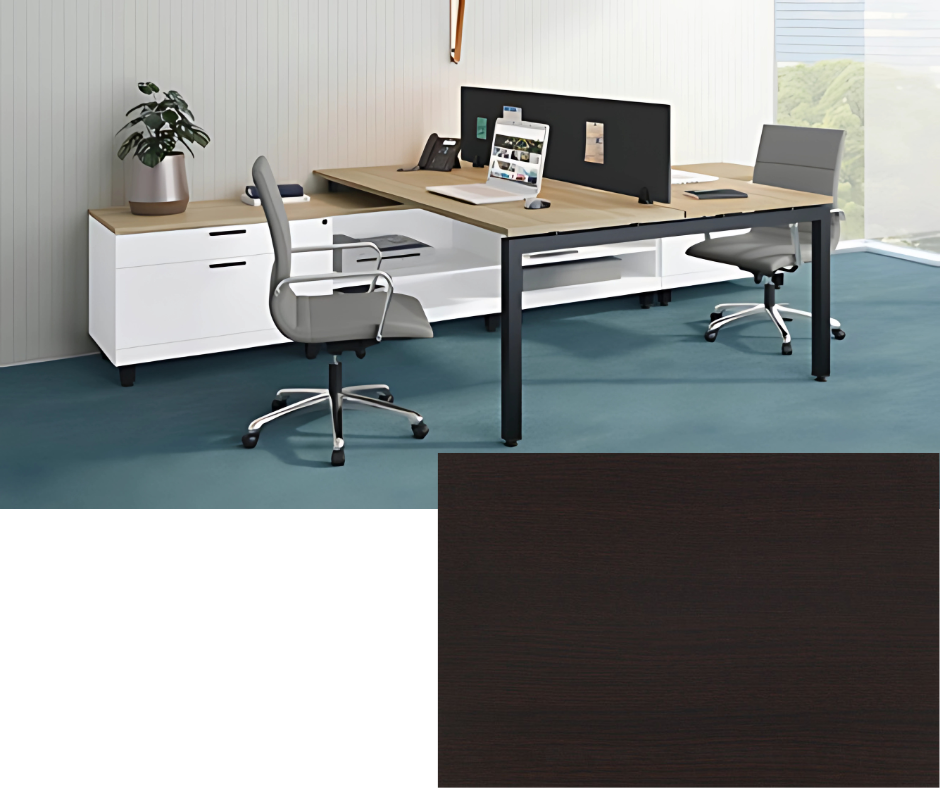 Two-Person Modern Workstation