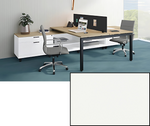 Two-Person Modern Workstation