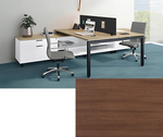 Two-Person Modern Workstation