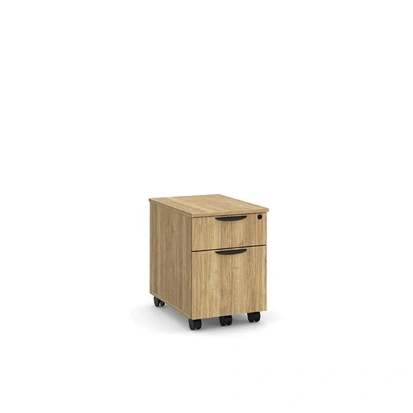 Locking Mobile Pedestal File