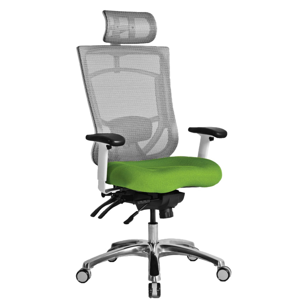 Aluminum Base Executive Pro Chair with Headrest