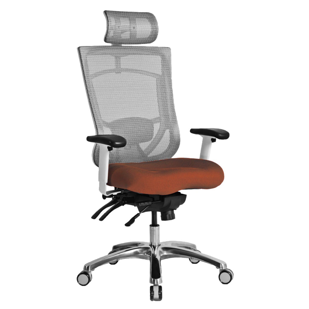 Aluminum Base Executive Pro Chair with Headrest