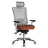 Aluminum Base Executive Pro Chair with Headrest