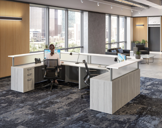 Furnishing Government and Public-Sector Offices on a Budget