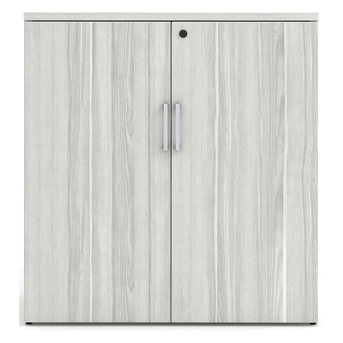 Large Storage Cabinet with Bookcase