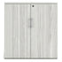 Large Storage Cabinet with Bookcase