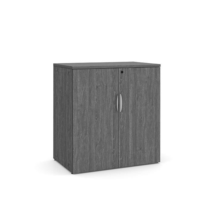 Large Storage Cabinet with Bookcase