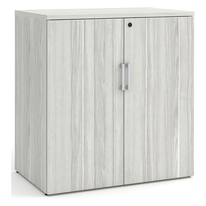 Large Storage Cabinet with Bookcase