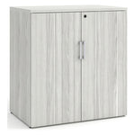 Large Storage Cabinet with Bookcase