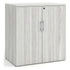 Large Storage Cabinet with Bookcase