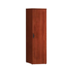 Slim Storage Cabinet with Glass Door
