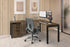 Atlas II Customizable Task Chair