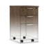 Locking Mobile Box-Box-File
