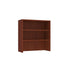 Large Storage Cabinet with Bookcase