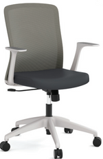 Fortis Series Task Chair