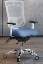 CoolMesh Executive Pro Chair