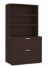 Lateral Filing Cabinet with Bookcase