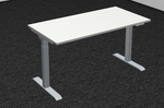 Standard Two-Stage Electric Height Adjustable Desk