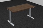 Standard Two-Stage Electric Height Adjustable Desk