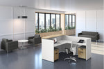 CoolMesh Executive Pro Chair