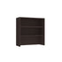 Large Storage Cabinet with Bookcase
