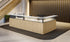 Borders Series 2-Station Reception Desk
