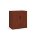 Large Storage Cabinet with Bookcase