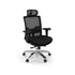 Trillian Series Big and Tall chair with High Back plus Headrest