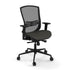 Pivot Mid-Back Mesh Chair